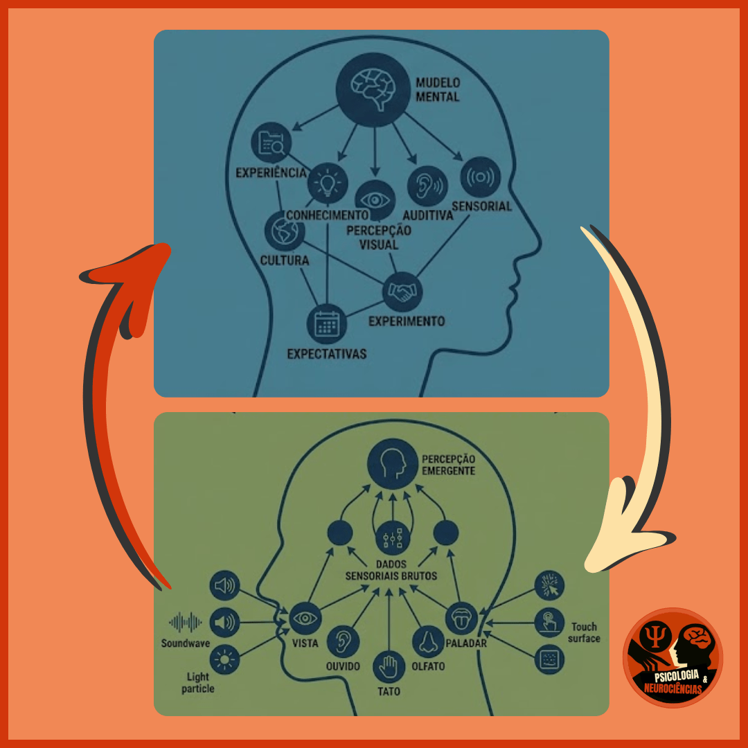 Imagem ilustrativa de processos bottom-up e top-down no processamento de informações.